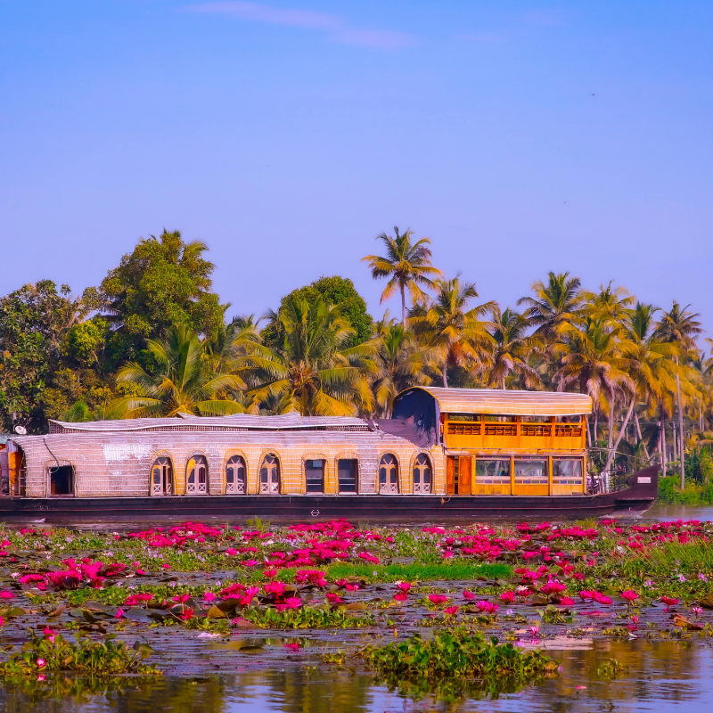 Luxury Kerala houseboat cruising through palm-fringed Alleppey backwaters