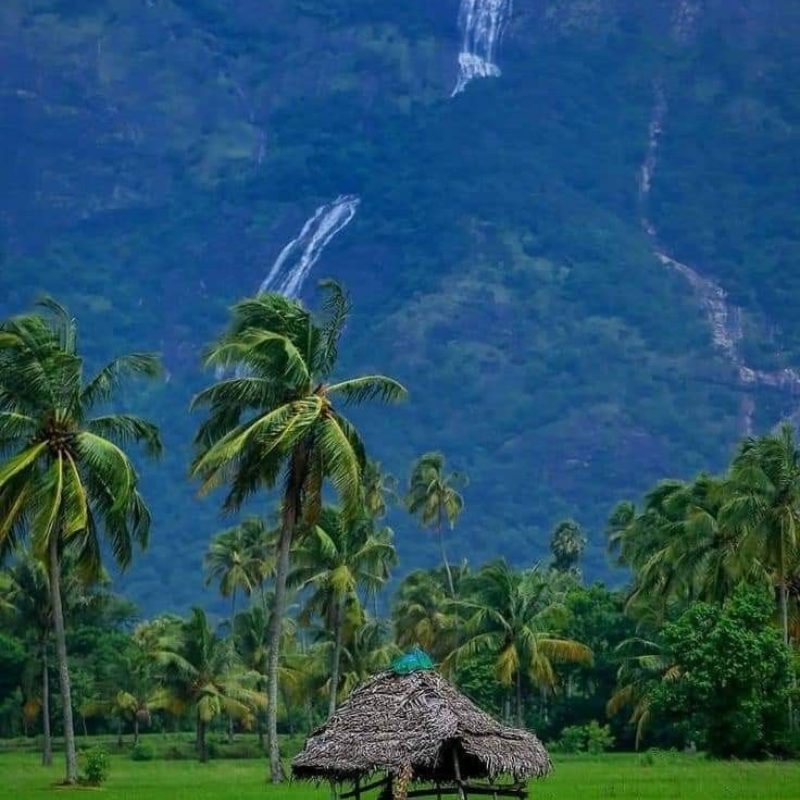 Lush green forest trekking path leading to Dhoni waterfalls