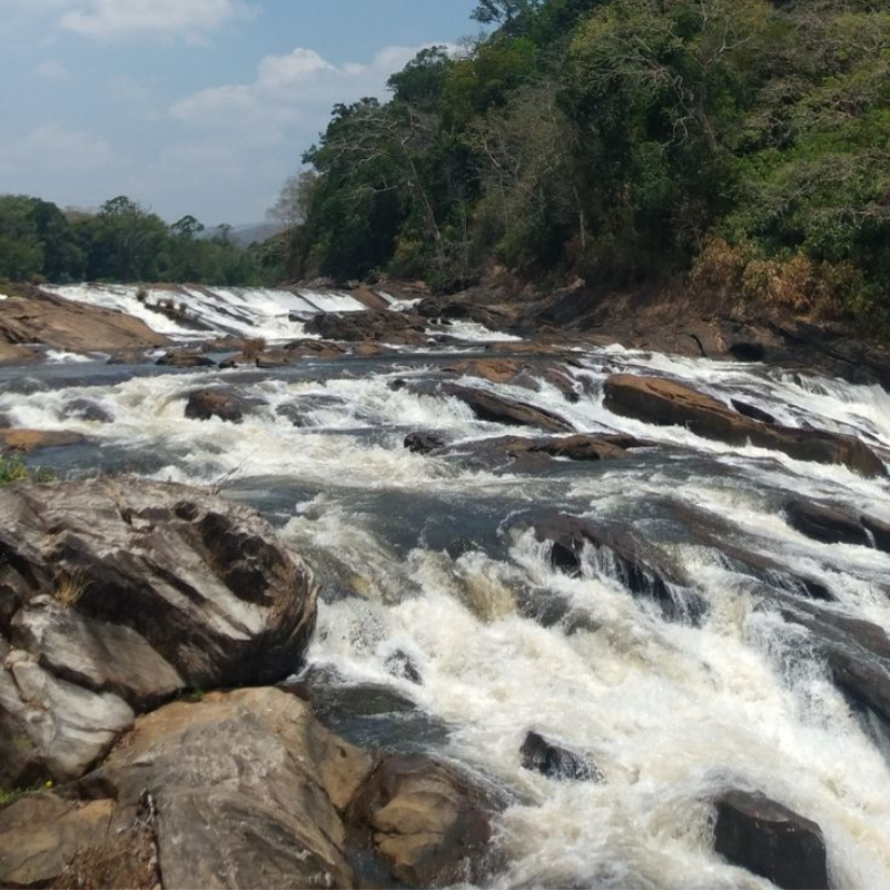 Picturesque rapids of Vazhachal Falls surrounded by dense greenery