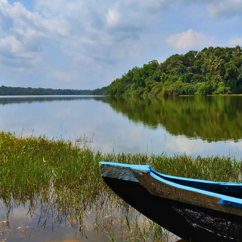 Ashtamudi Lake backwaters
