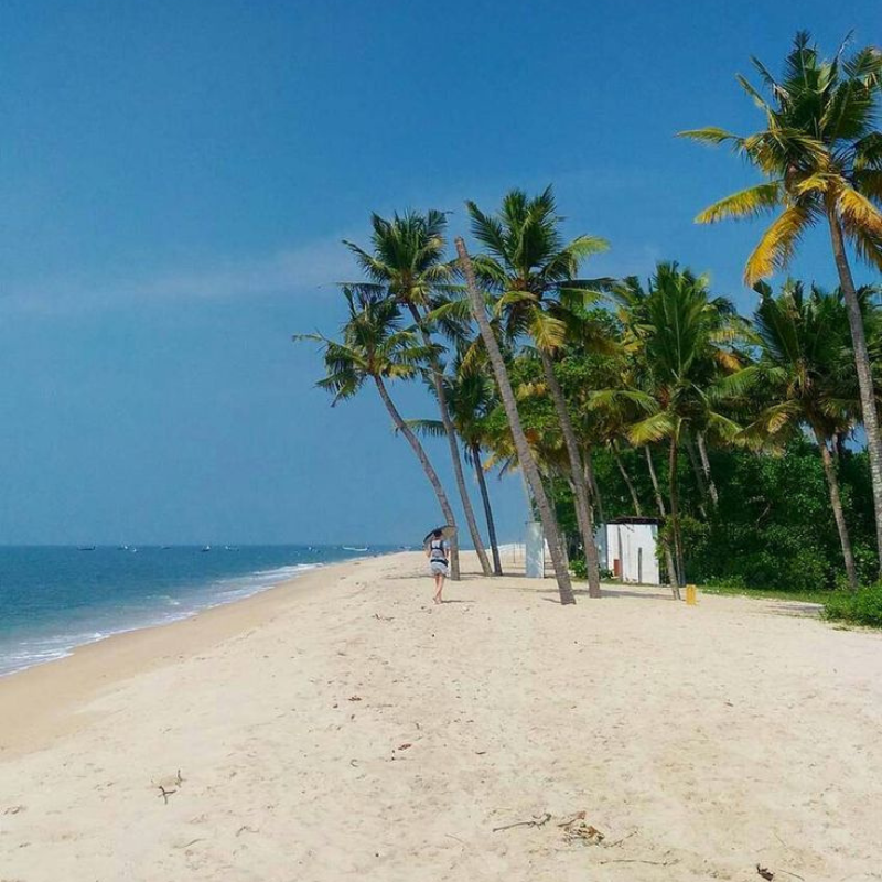 Quiet shoreline of Marari Beach with coconut trees and white sand