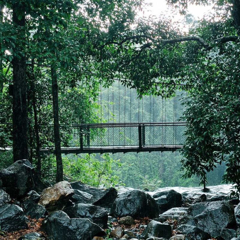Scenic three-level waterfall at Thusharagiri surrounded by lush greenery