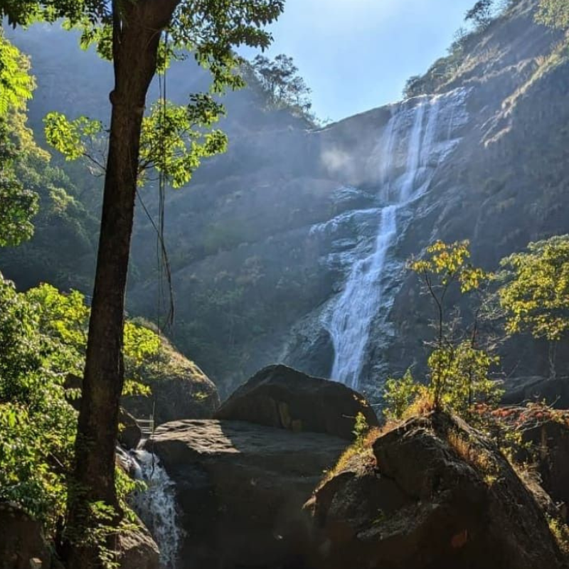 Scenic 300ft Palaruvi waterfall cascading down rocks