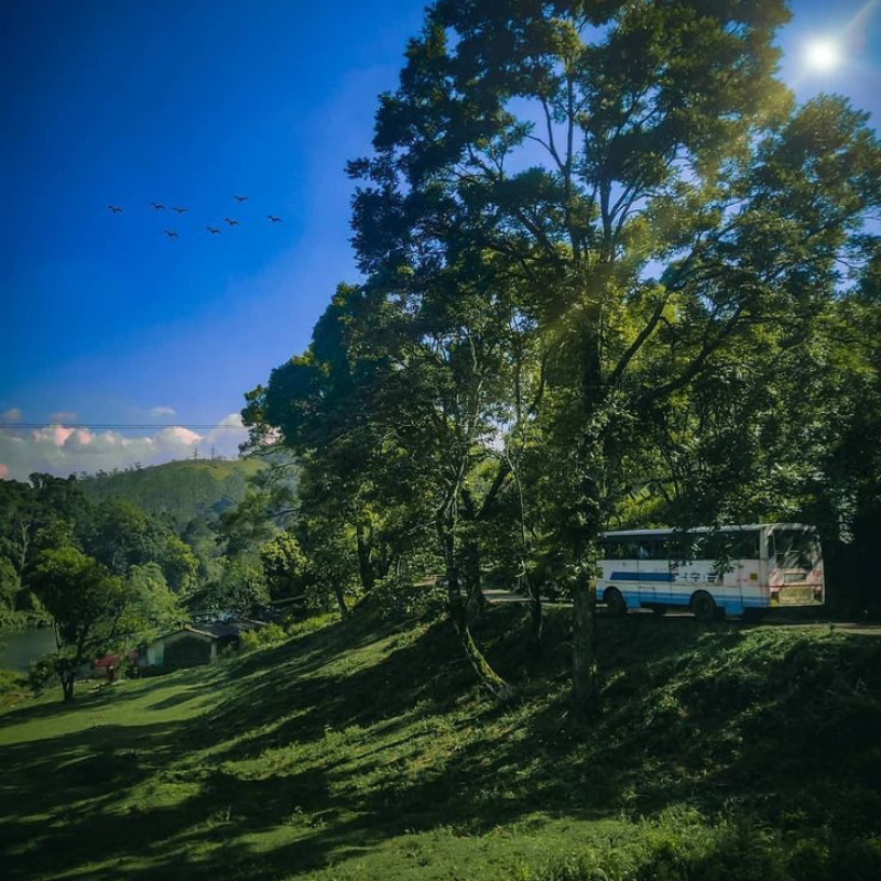 Deep forest landscape and wildlife trekking in Gavi Kerala