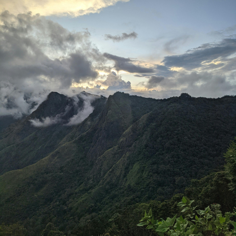 Scenic valley view from the highest point at Top Station Munnar