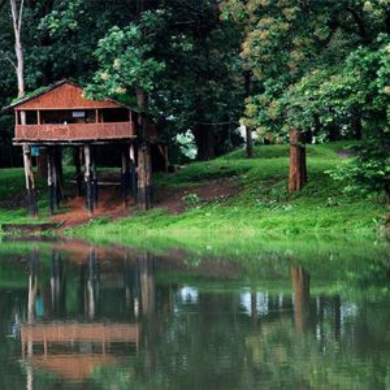 Wildlife safari jeep in the teak plantations of Parambikulam