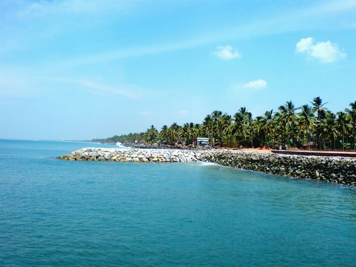Aerial view of Pathiramanal Island bird sanctuary in Vembanad Lake