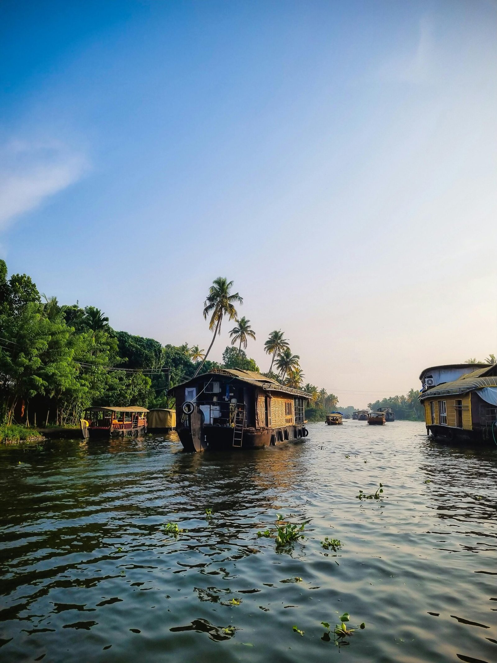 Budget Kerala Tours