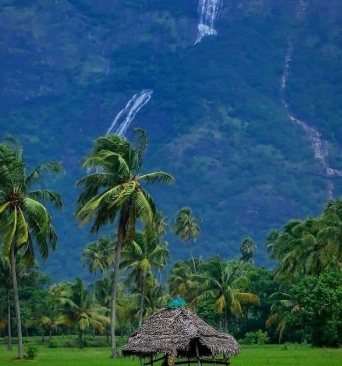 Lush green forest trekking path leading to Dhoni waterfalls