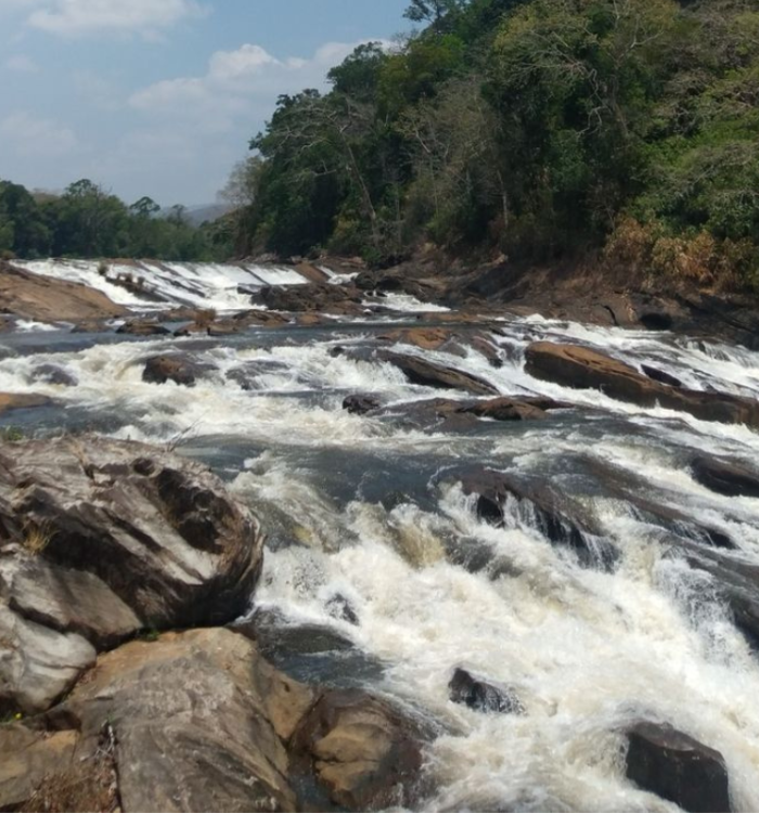 Picturesque rapids of Vazhachal Falls surrounded by dense greenery