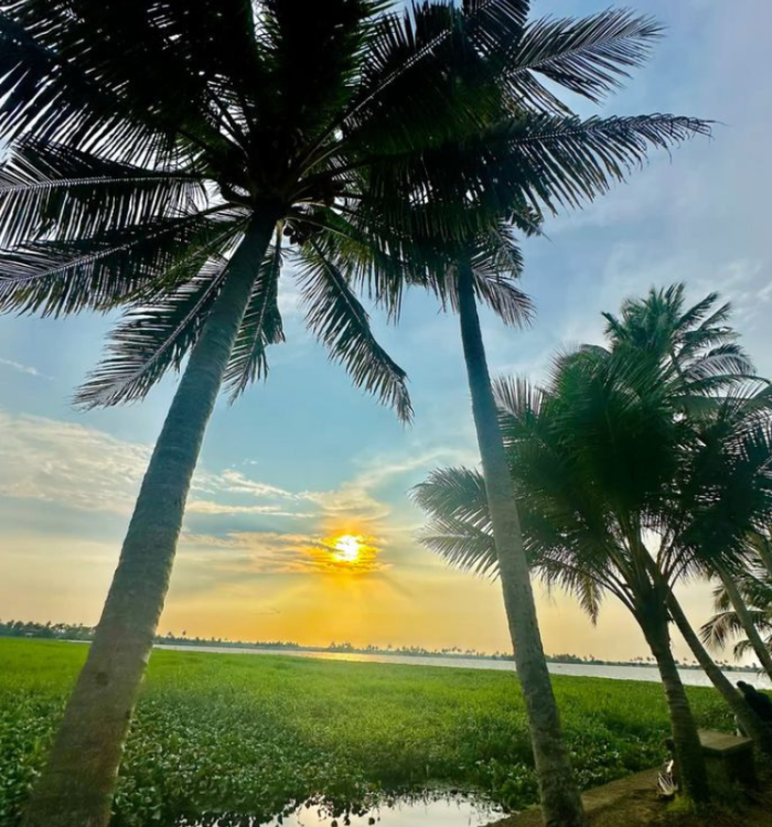Vast green paddy fields of Kuttanad below sea level