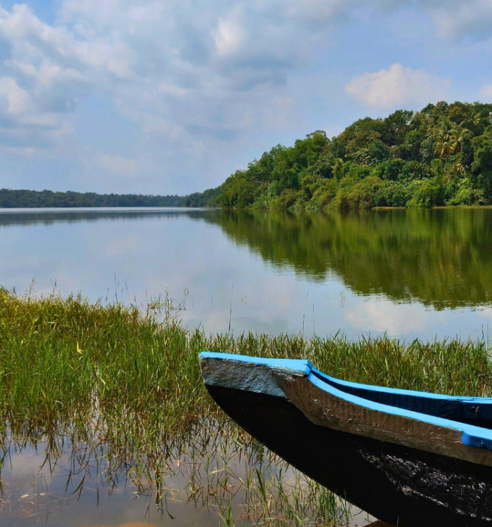 Ashtamudi Lake backwaters
