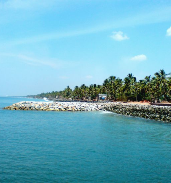 Aerial view of Pathiramanal Island bird sanctuary in Vembanad Lake