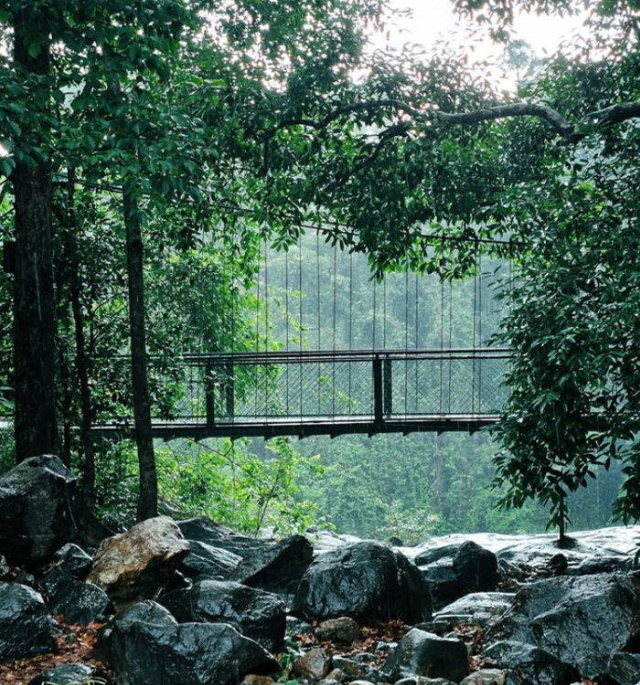 Scenic three-level waterfall at Thusharagiri surrounded by lush greenery