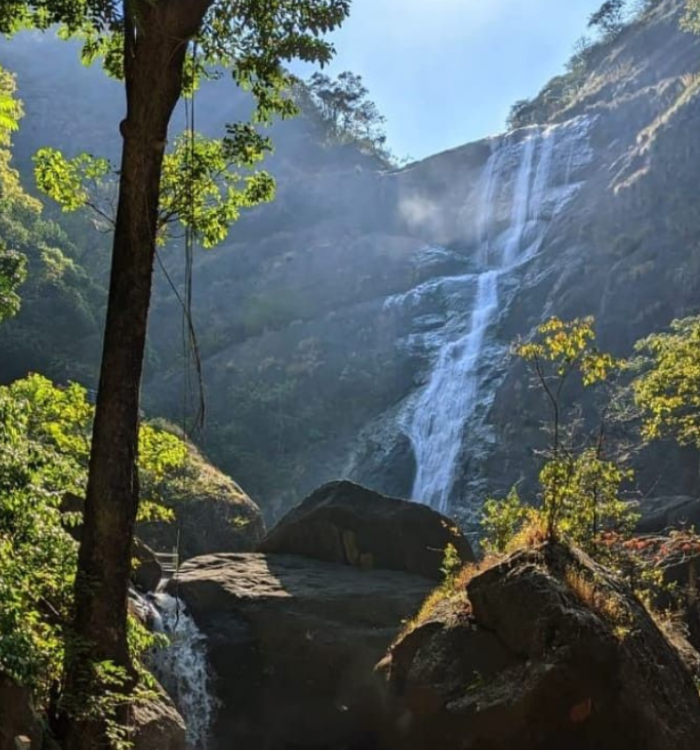 Scenic 300ft Palaruvi waterfall cascading down rocks
