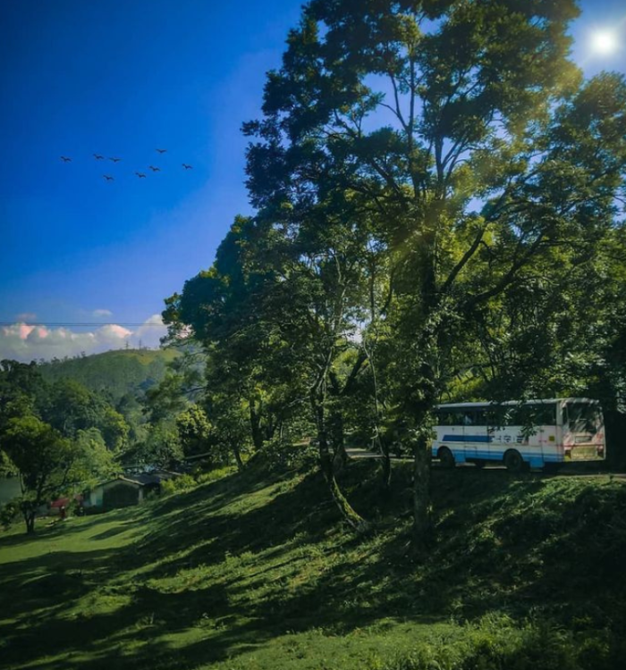 Deep forest landscape and wildlife trekking in Gavi Kerala