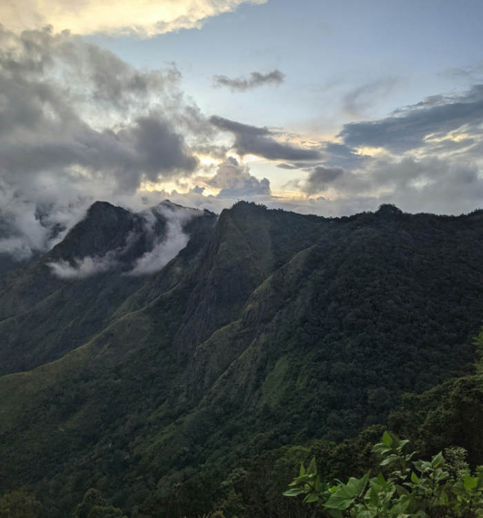 Scenic valley view from the highest point at Top Station Munnar