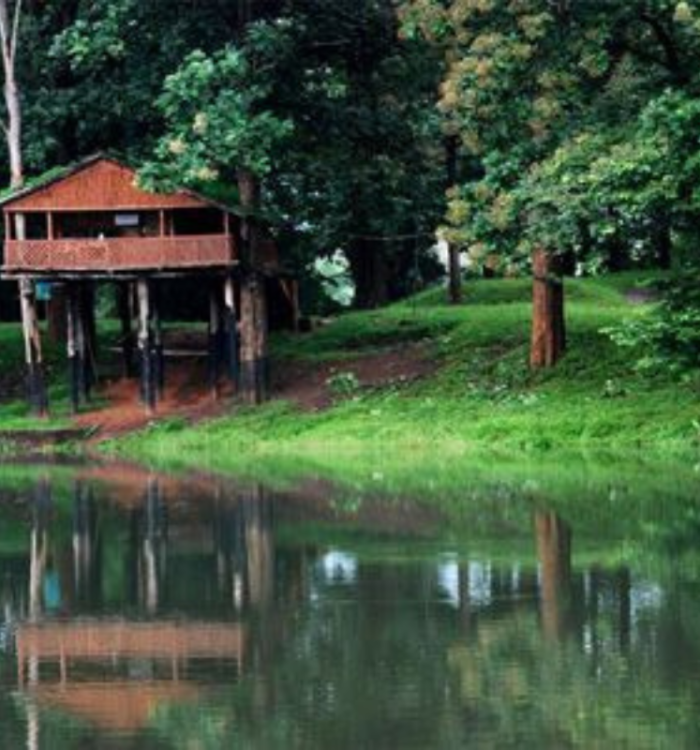 Wildlife safari jeep in the teak plantations of Parambikulam